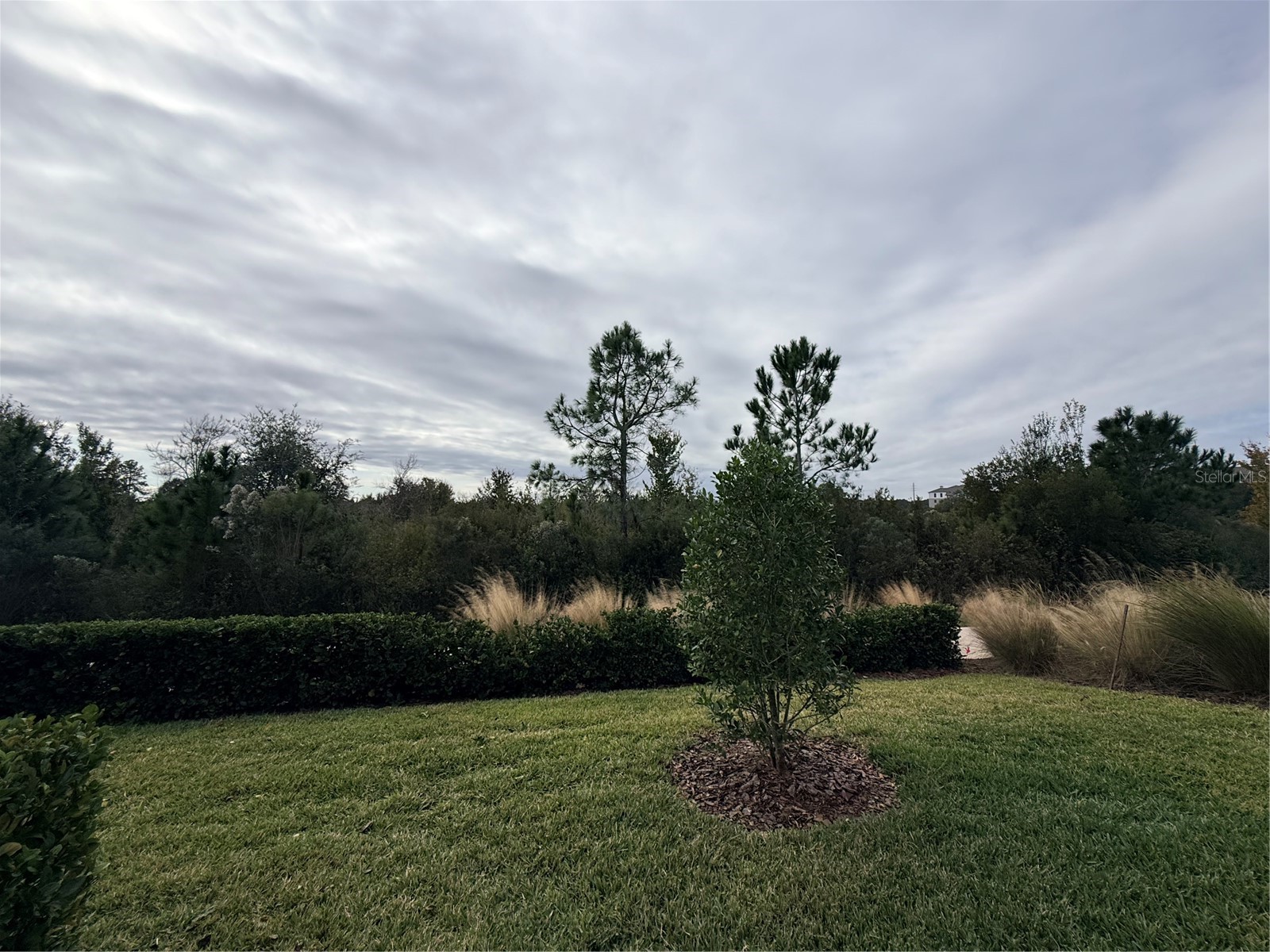 5443 Elmview Crossing Wesley Chapel FL 33545 TB8525484 image36