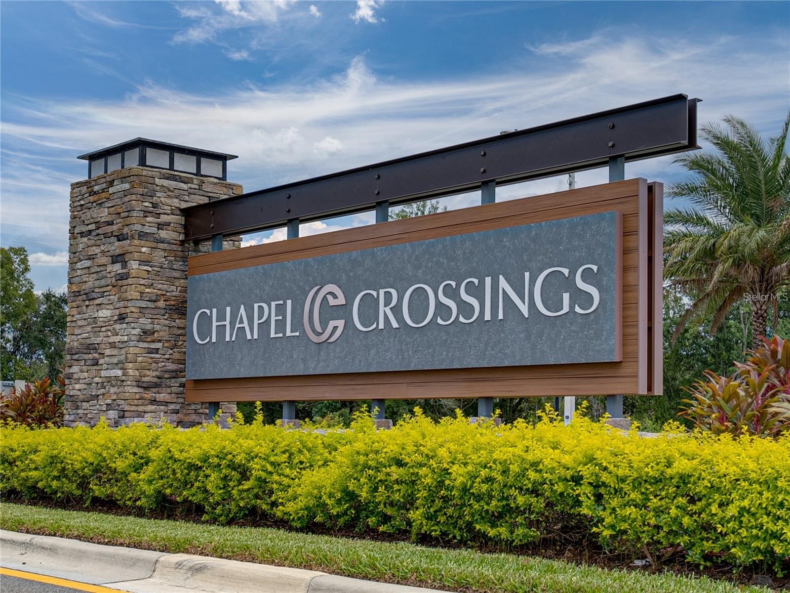 5443 Elmview Crossing Wesley Chapel FL 33545 TB8525484 image40