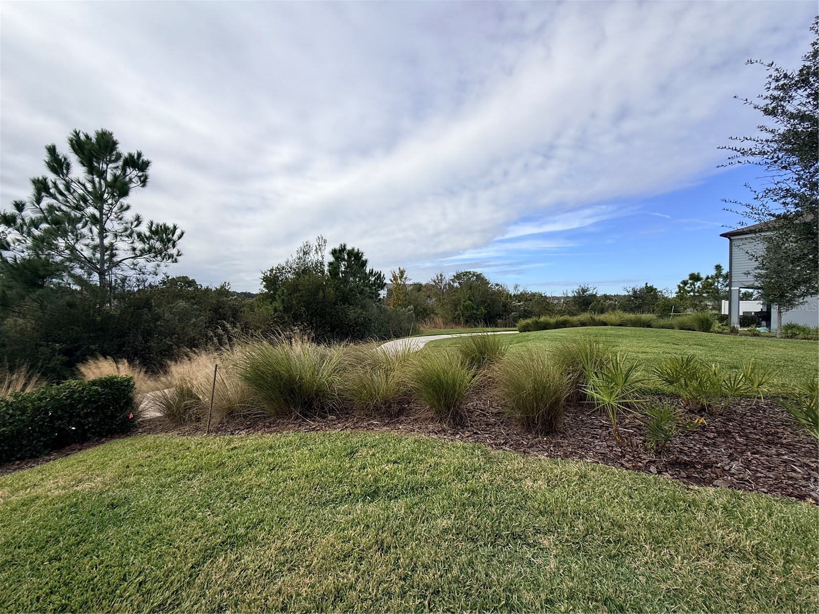5443 Elmview Crossing Wesley Chapel FL 33545 TB8525484 image5
