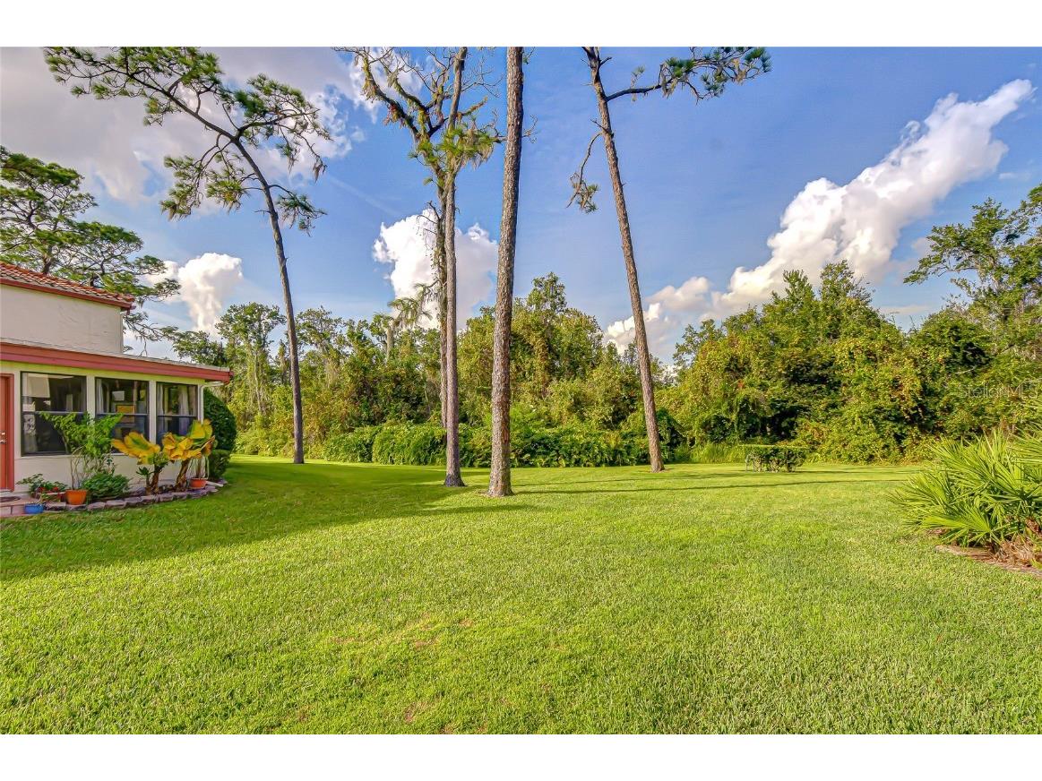 5444 Saddlebrook Way #4 Wesley Chapel FL 33543 TB8451327 image39