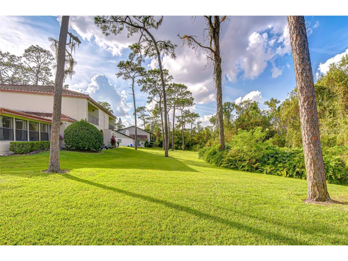 5444 Saddlebrook Way #4 Wesley Chapel FL 33543 TB8451327 image40