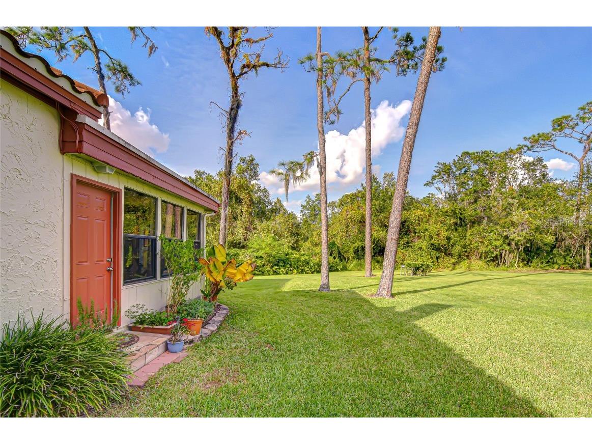 5444 Saddlebrook Way #4 Wesley Chapel FL 33543 TB8451327 image41