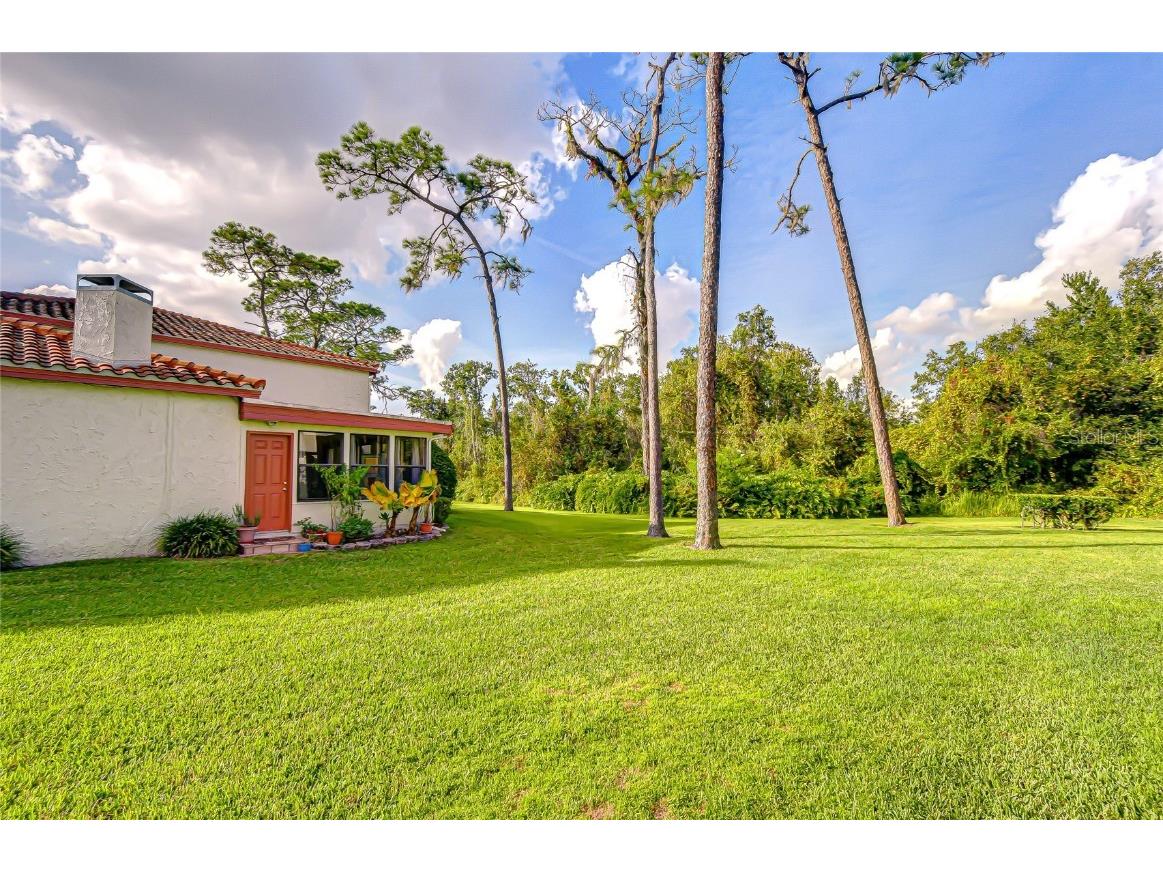 5444 Saddlebrook Way #4 Wesley Chapel FL 33543 TB8451327 image42