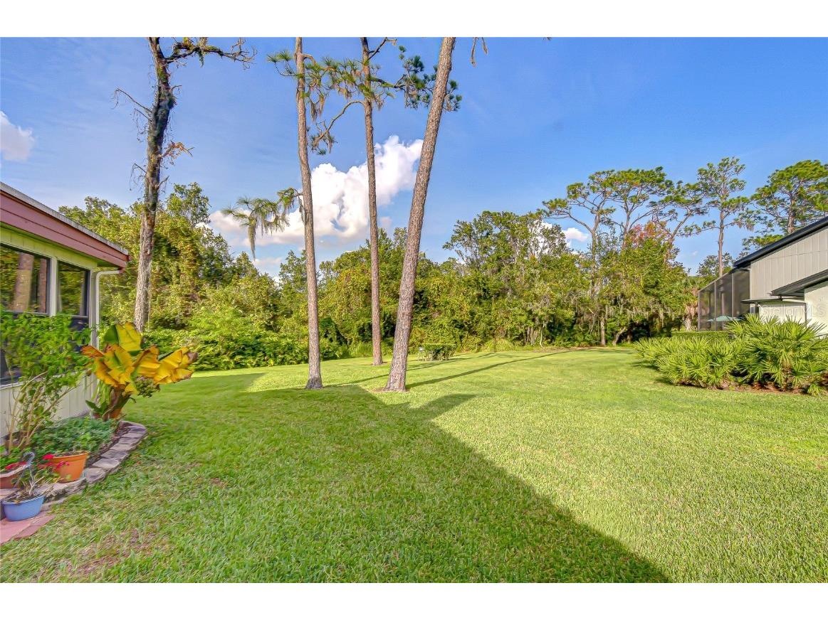 5444 Saddlebrook Way #4 Wesley Chapel FL 33543 TB8451327 image45