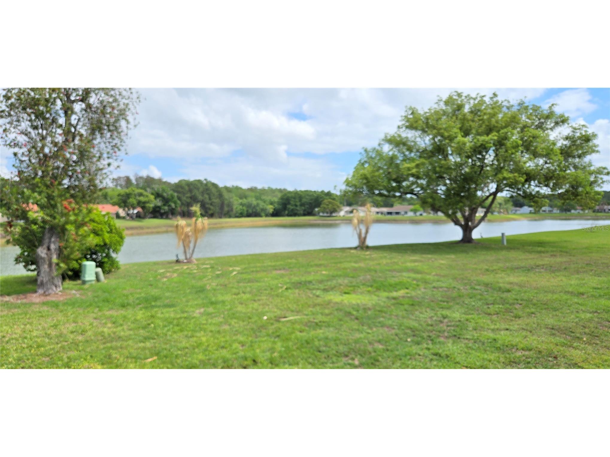 5445 Sandy Hill Drive Orlando FL 32821 O6397864 image2