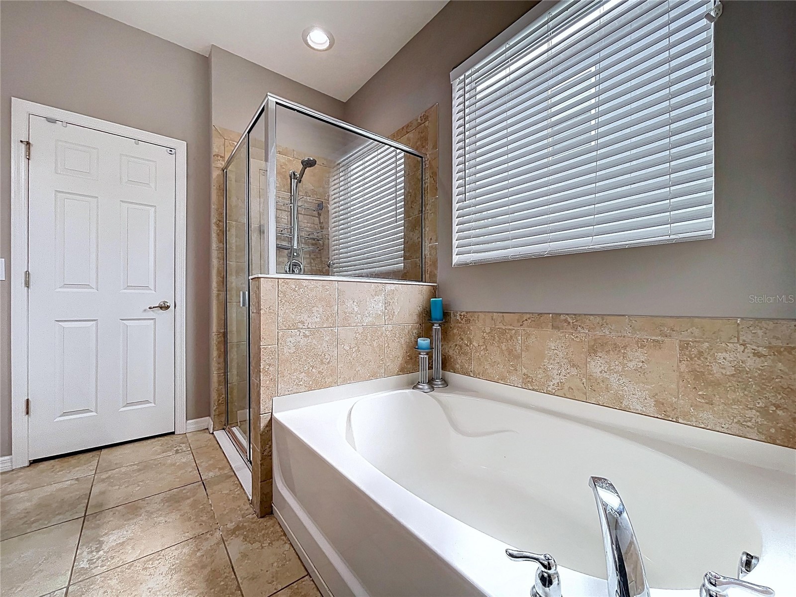 5446 Angelonia Terrace Land O Lakes FL 34639 TB8498481 image36