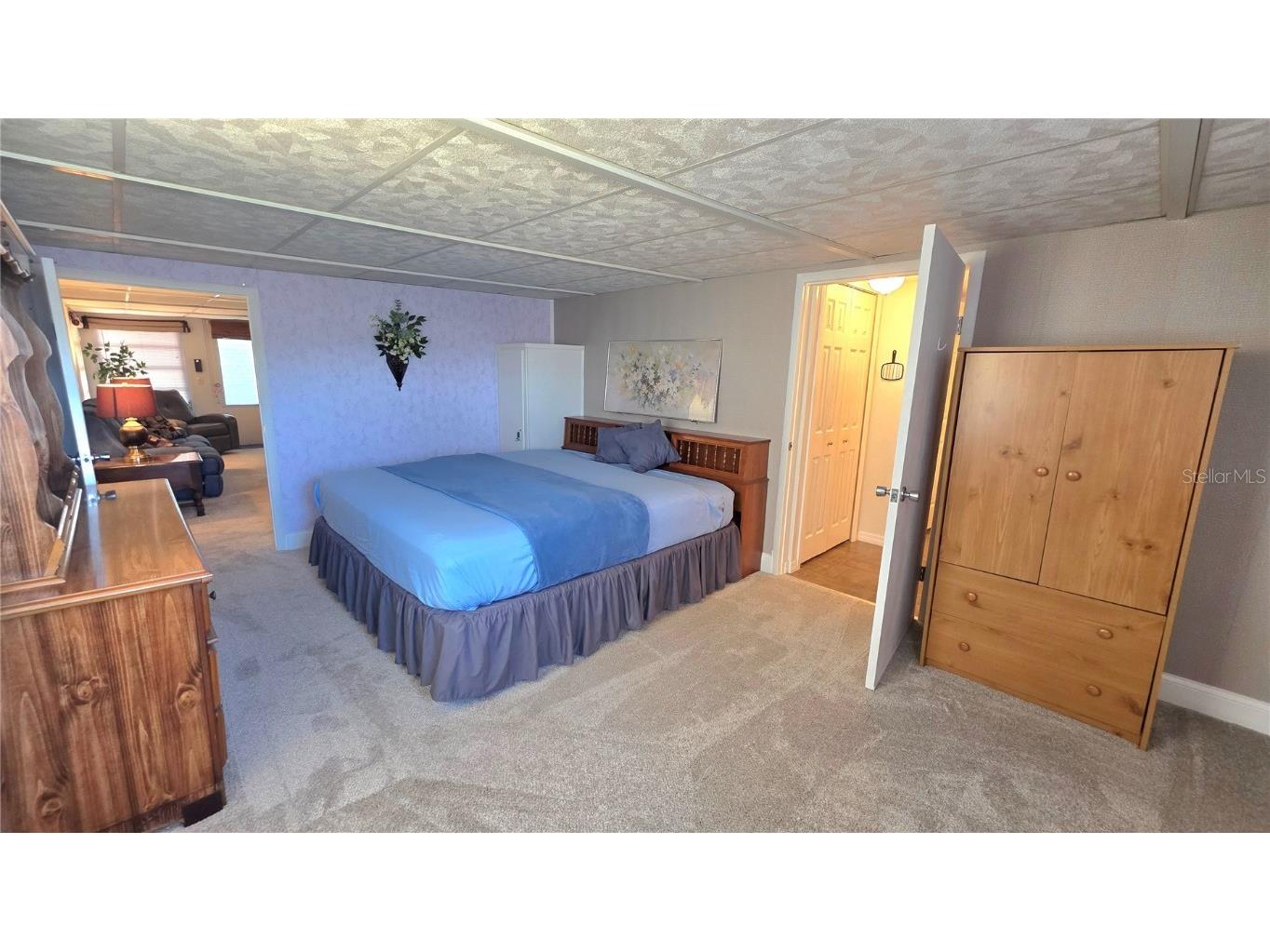 5446 Joyce Street Zephyrhills FL 33542 TB8380459 image26