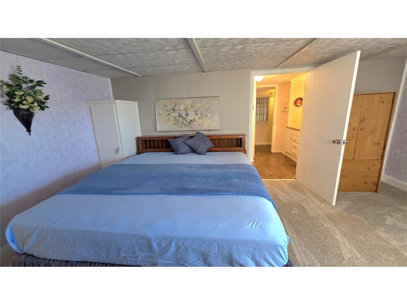 5446 Joyce Street Zephyrhills FL 33542 TB8380459 image27