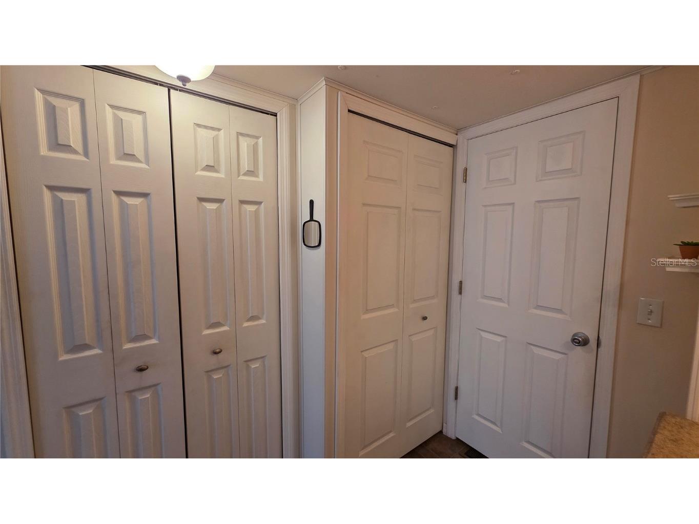 5446 Joyce Street Zephyrhills FL 33542 TB8380459 image29