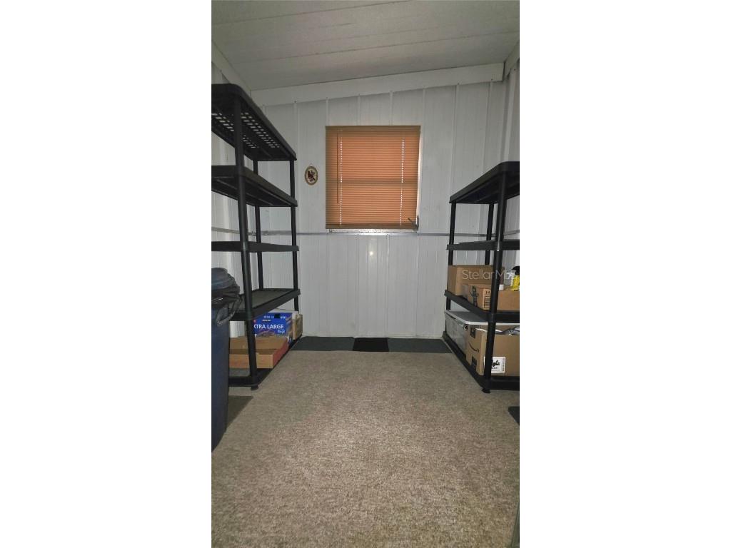 5446 Joyce Street Zephyrhills FL 33542 TB8380459 image41