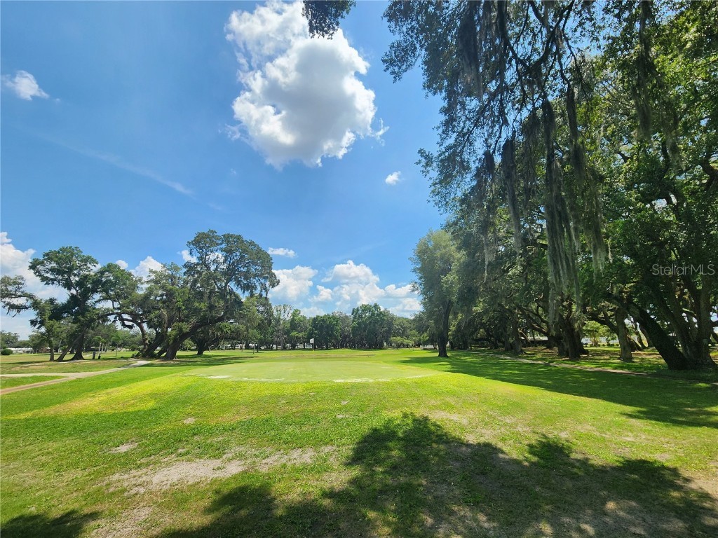 5446 Joyce Street Zephyrhills FL 33542 TB8380459 image47