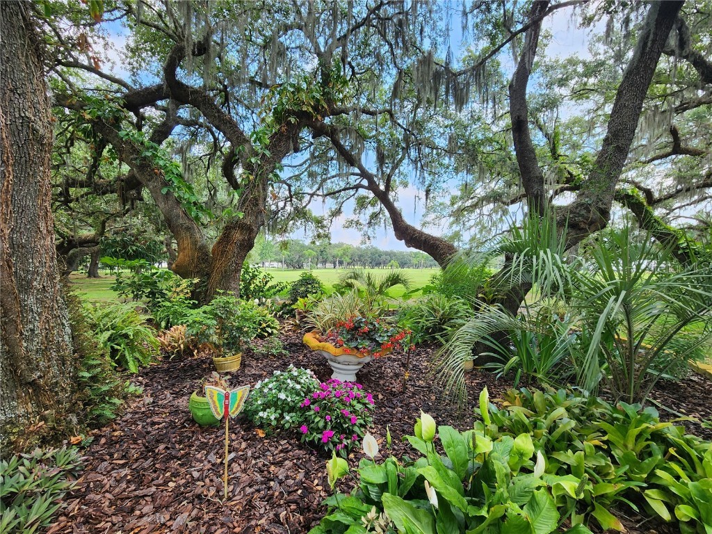 5446 Joyce Street Zephyrhills FL 33542 TB8380459 image54