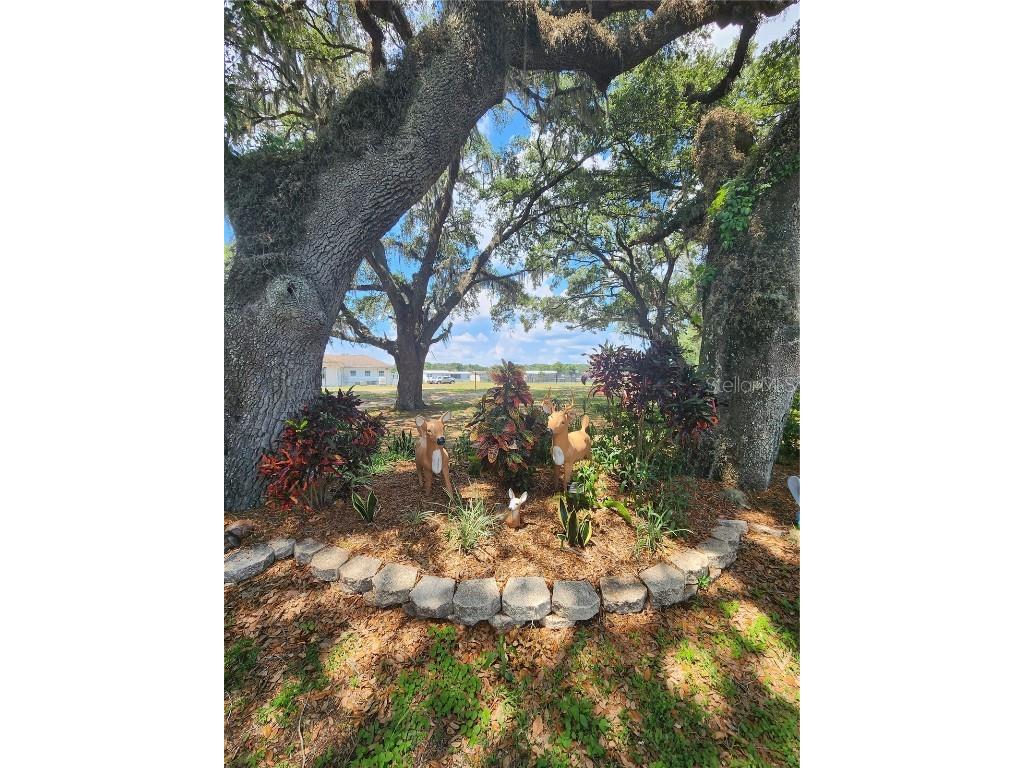 5446 Joyce Street Zephyrhills FL 33542 TB8380459 image70