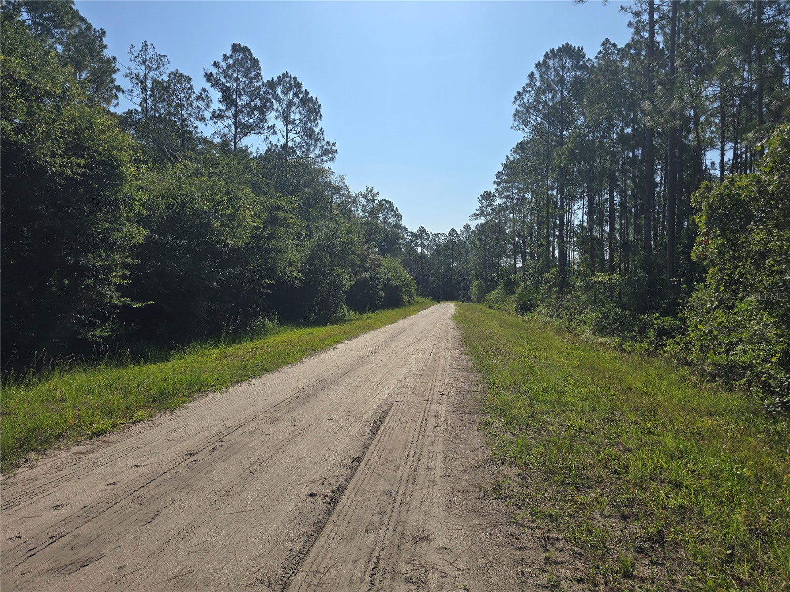 5446 Mango Avenue Bunnell FL 32110 FC319565 image15