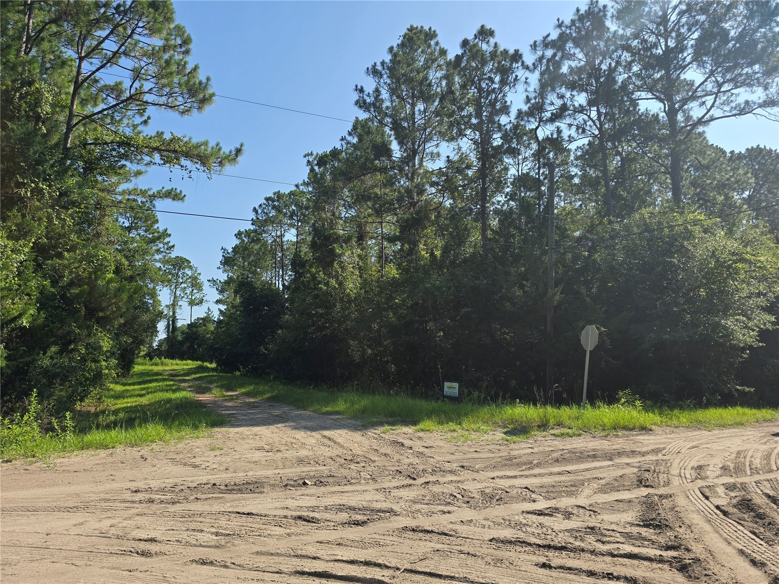 5446 Mango Avenue Bunnell FL 32110 FC319565 image2