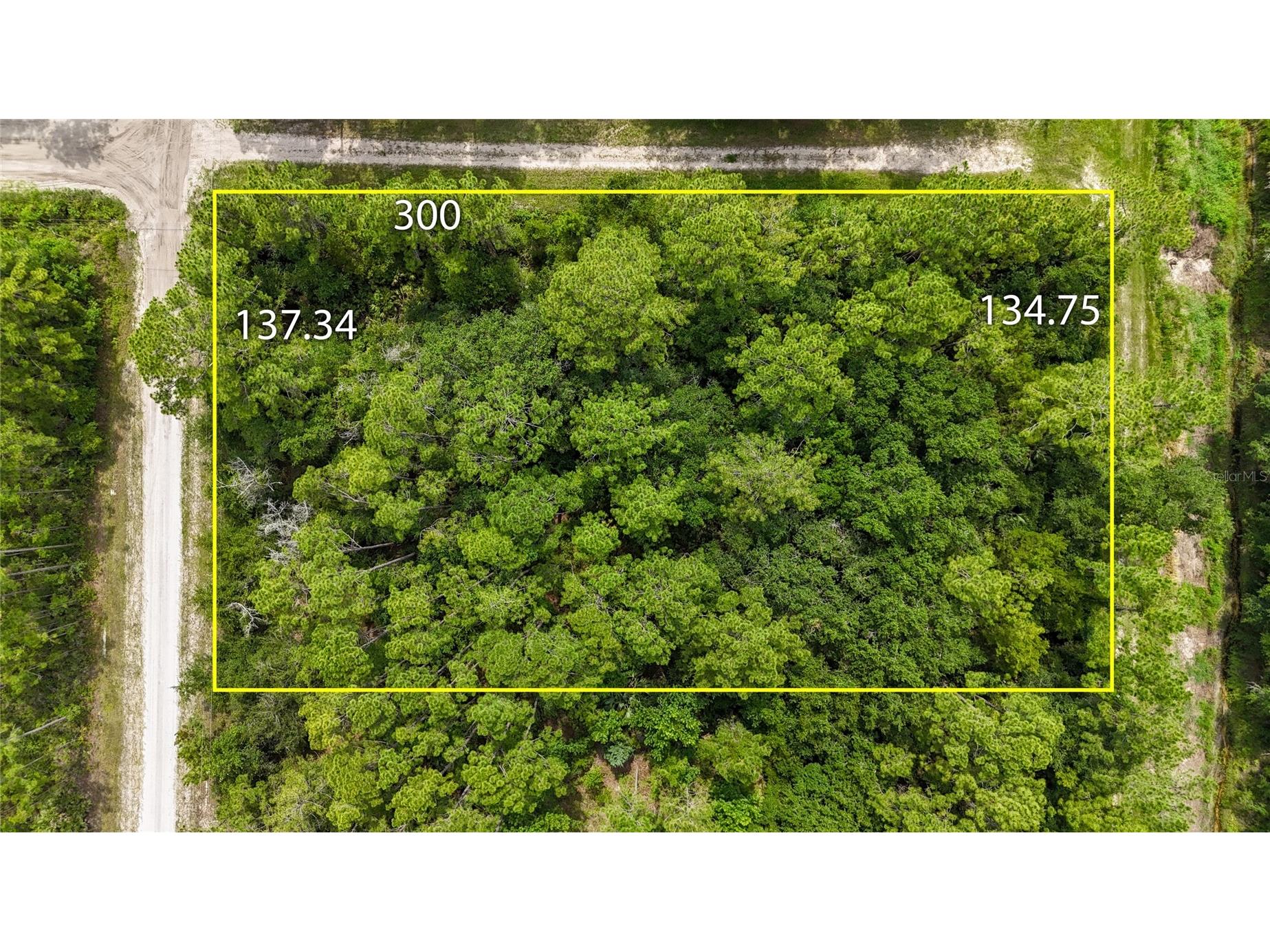 5446 Mango Avenue Bunnell FL 32110 FC319565 image4