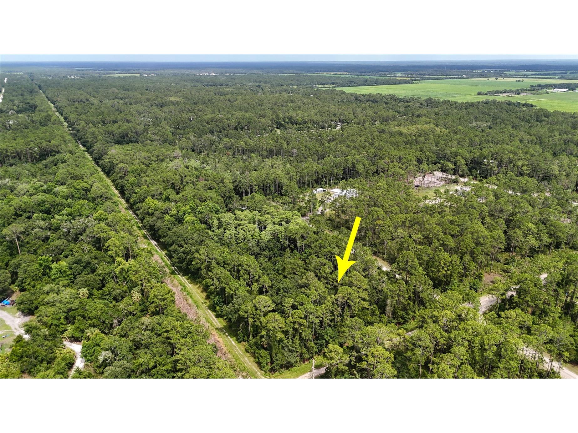 5446 Mango Avenue Bunnell FL 32110 FC319565 image9