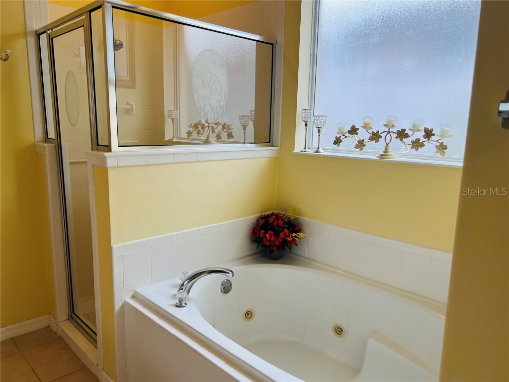 5446 Sea Leopard Street Tavares FL 32778 G5101735 image14