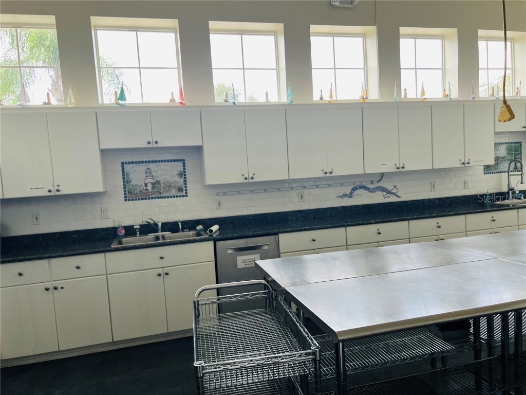 5446 Sea Leopard Street Tavares FL 32778 G5101735 image29