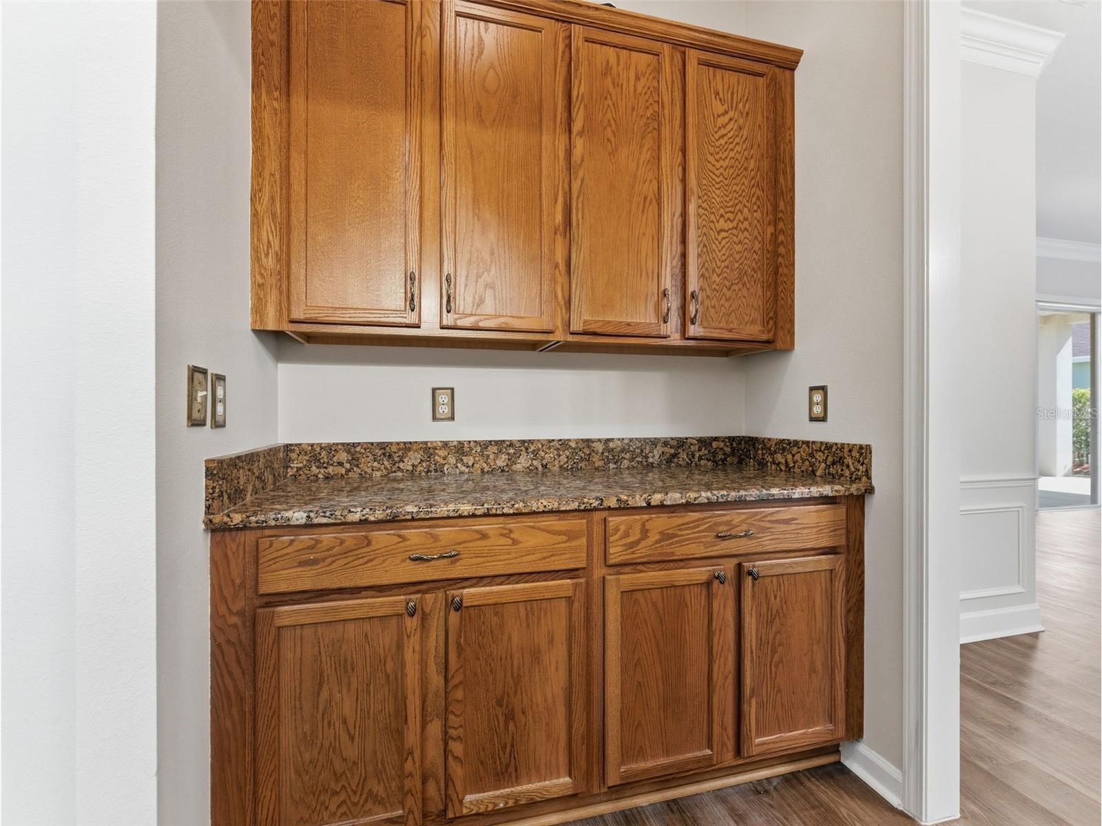 5446 Spectacular Bid Drive Wesley Chapel FL 33544 TB8473079 image20