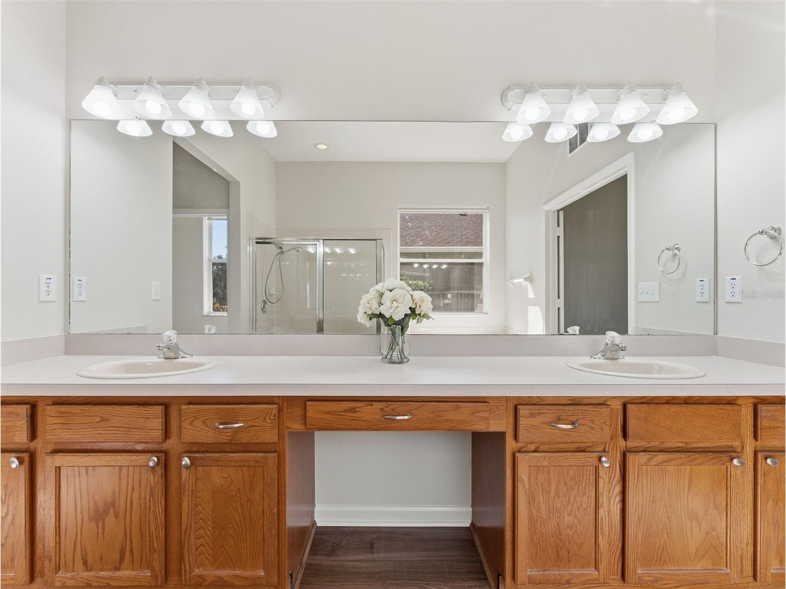 5446 Spectacular Bid Drive Wesley Chapel FL 33544 TB8473079 image26