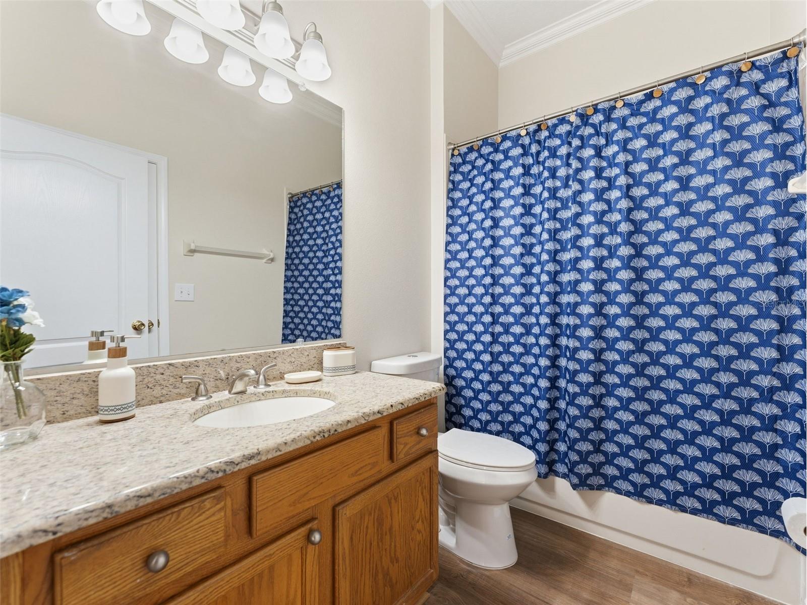 5446 Spectacular Bid Drive Wesley Chapel FL 33544 TB8473079 image39