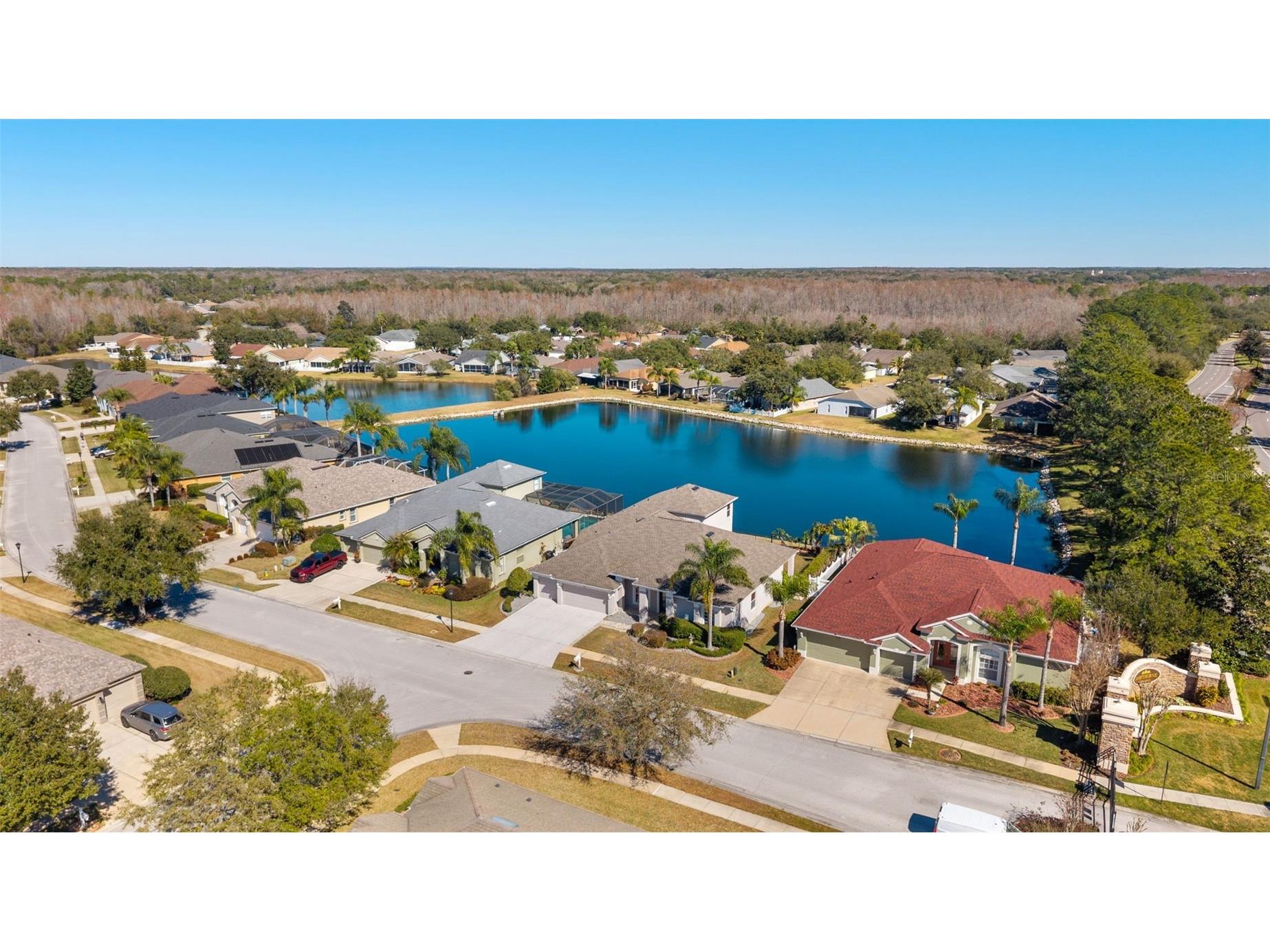 5446 Spectacular Bid Drive Wesley Chapel FL 33544 TB8473079 image52