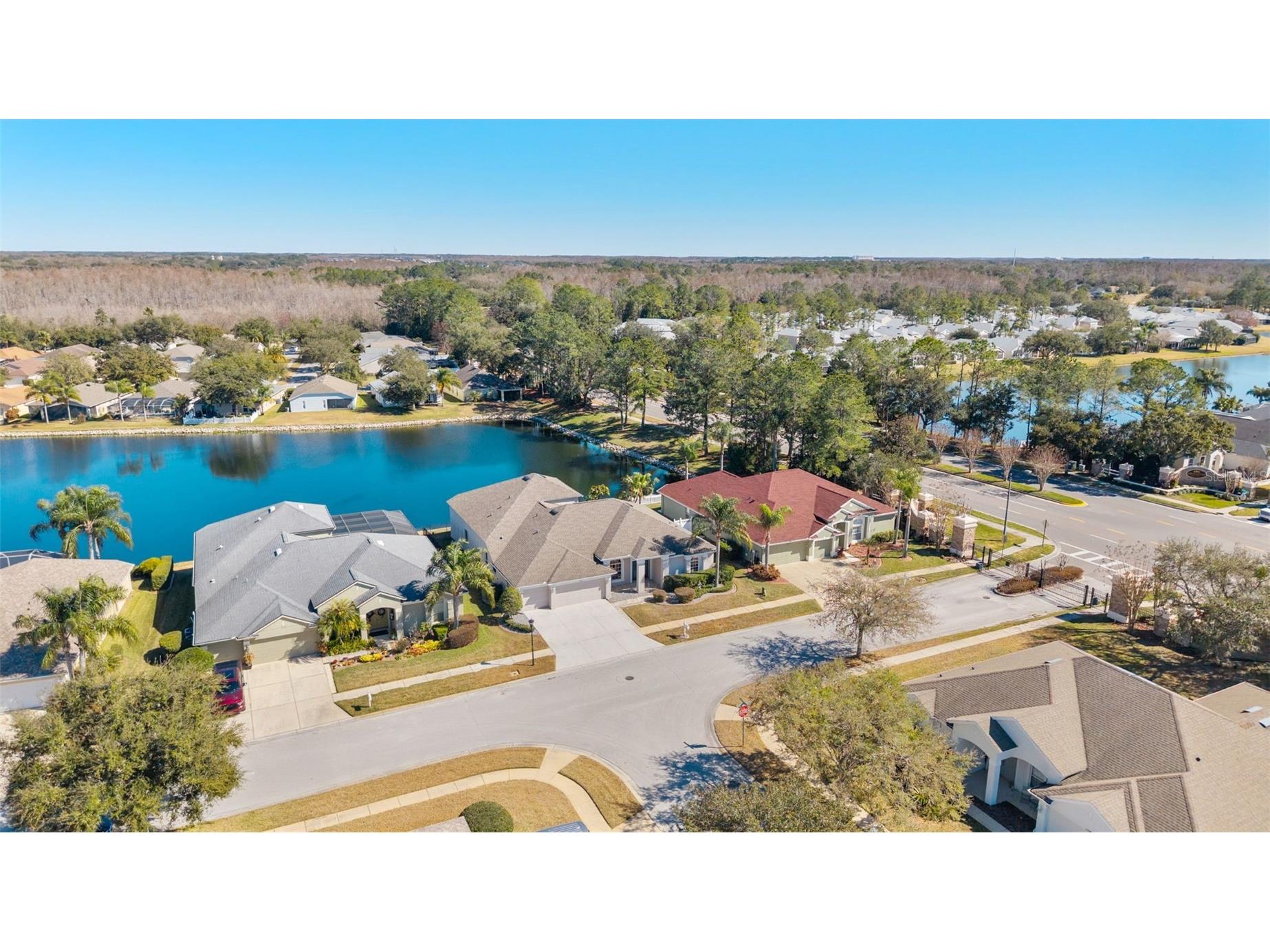 5446 Spectacular Bid Drive Wesley Chapel FL 33544 TB8473079 image53