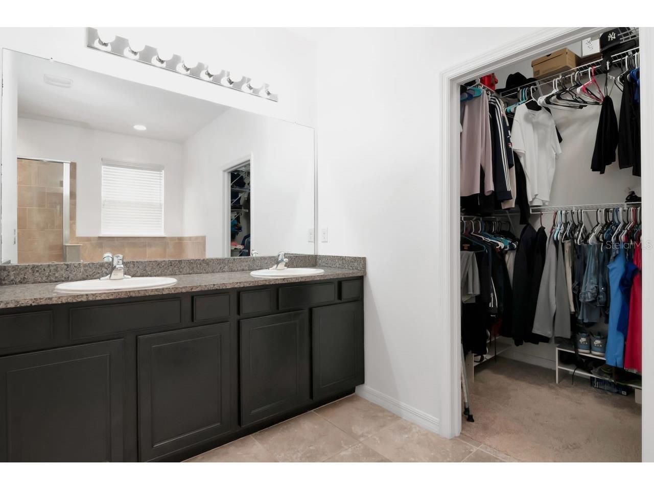 5446 Suncatcher Drive Wesley Chapel FL 33545 TB8475481 image10