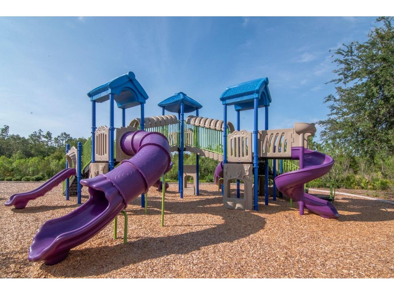 5446 Suncatcher Drive Wesley Chapel FL 33545 TB8475481 image41