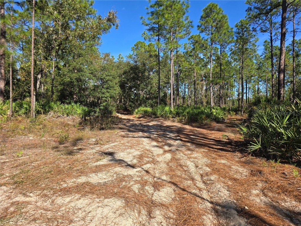 5449 N Smokey Mountain Point Crystal River FL 34428 OM689958 image1