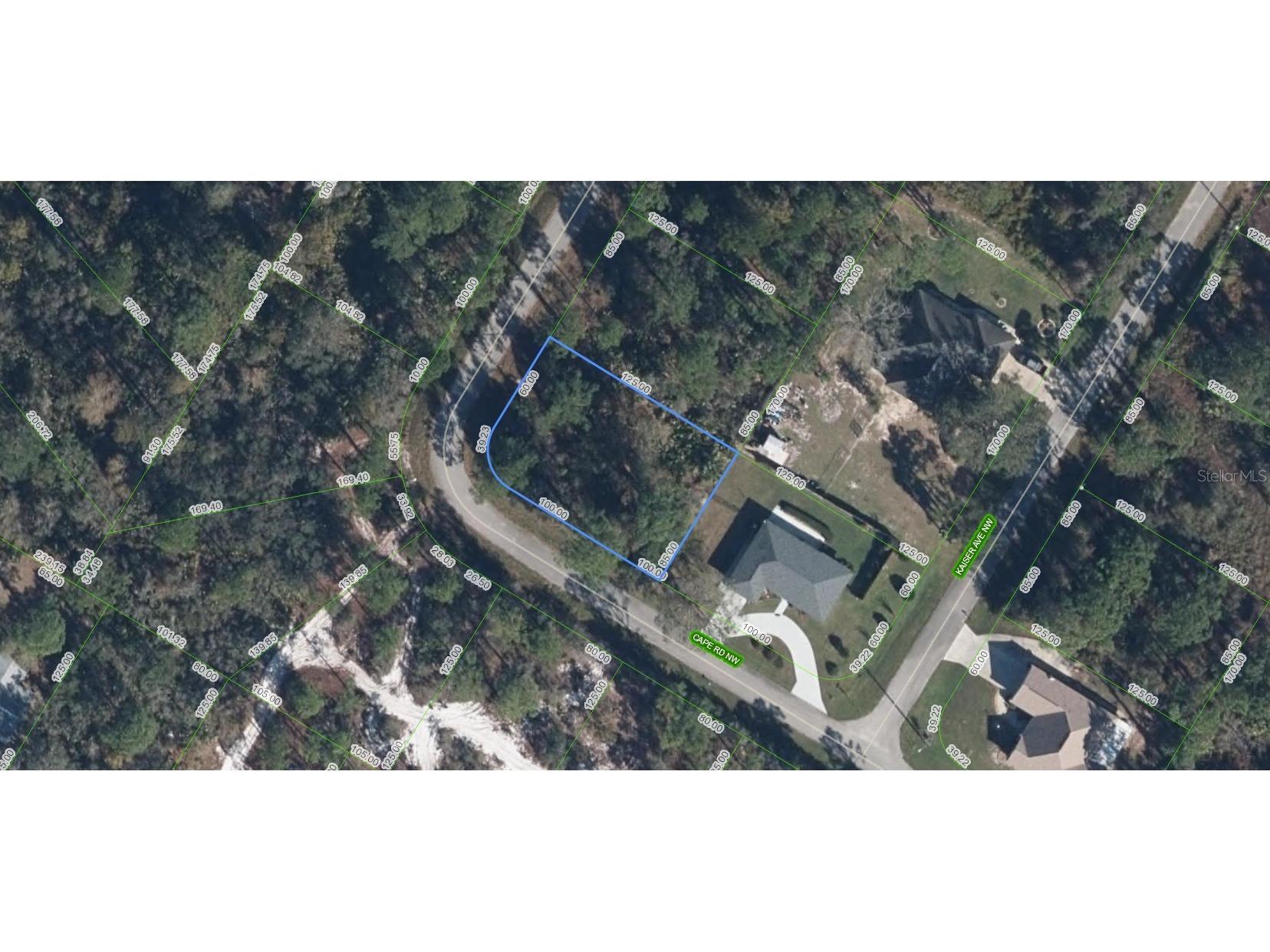 545 Cape Road NW Lake Placid FL 33852 A4695232 image1