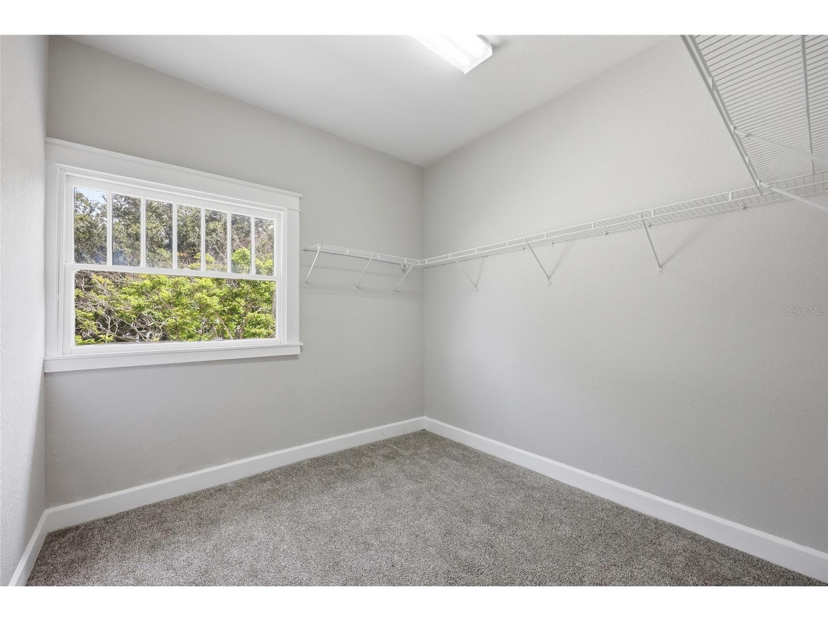545 E Haines Boulevard Lake Alfred FL 33850 L4963262 image11