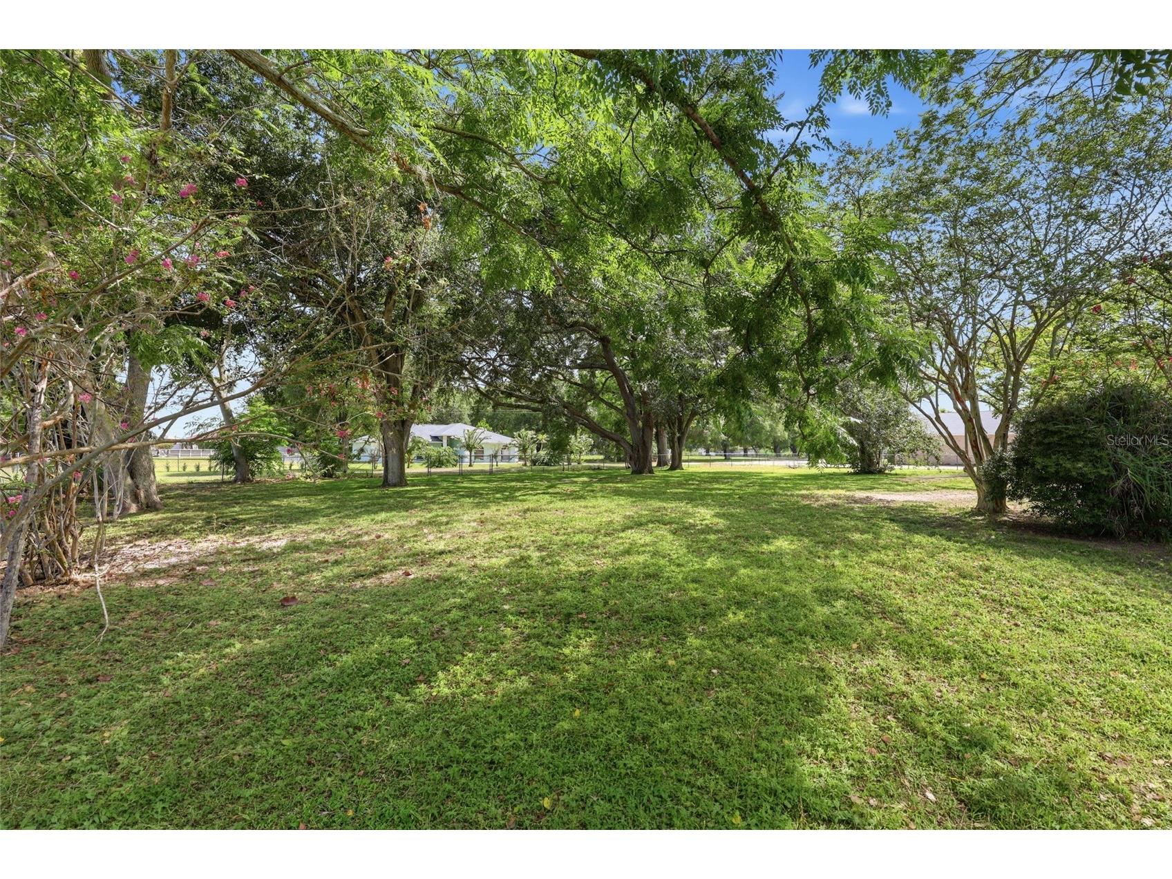 545 E Haines Boulevard Lake Alfred FL 33850 L4963262 image27