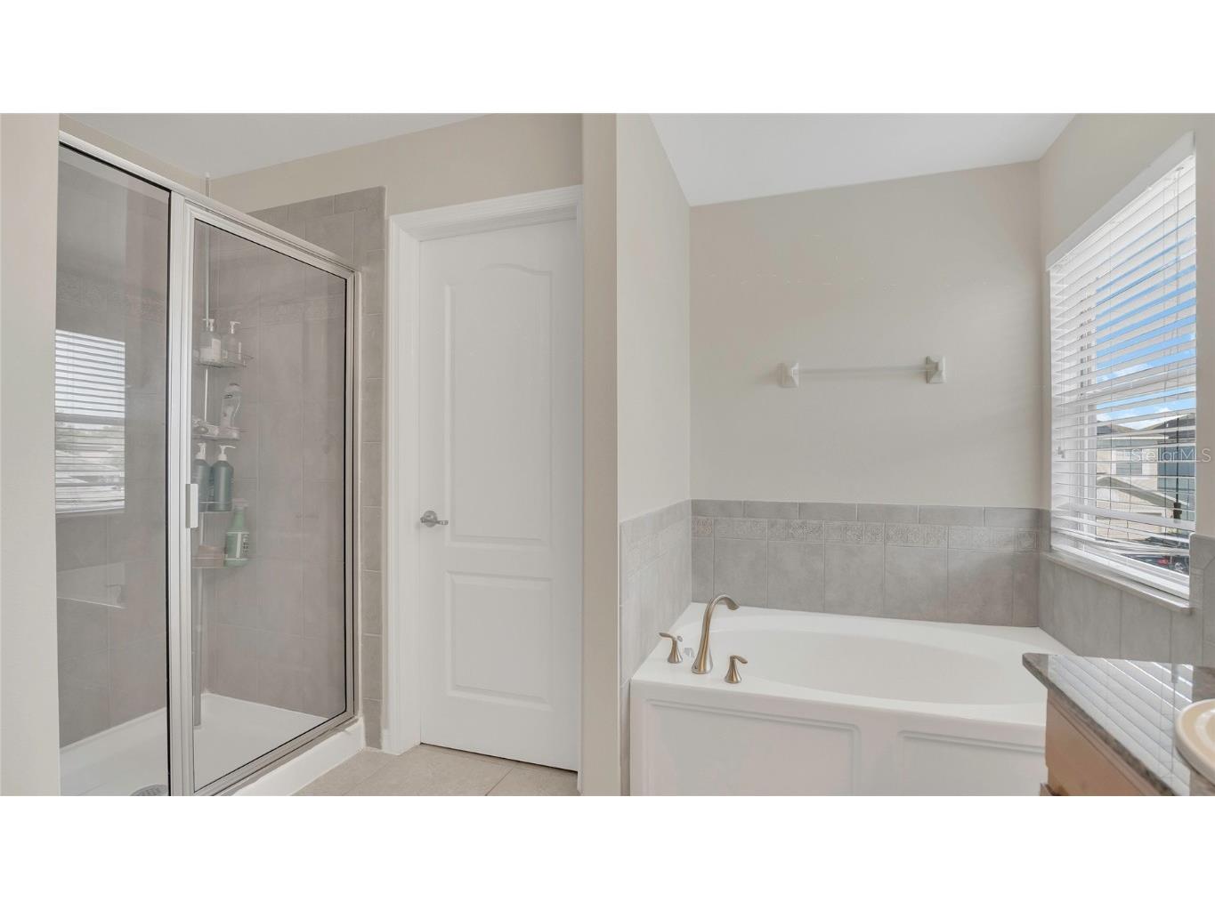 545 Fairhaven Drive Davenport FL 33837 S5122785 image10