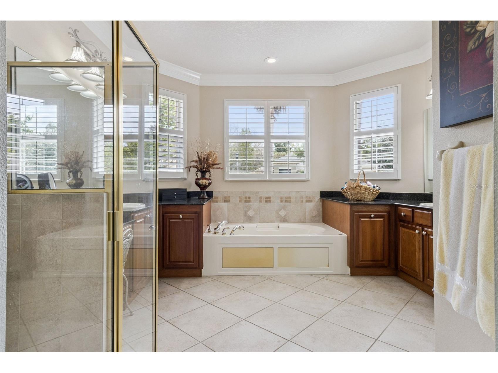 545 Genoa Drive Kissimmee FL 34759 O6395202 image24