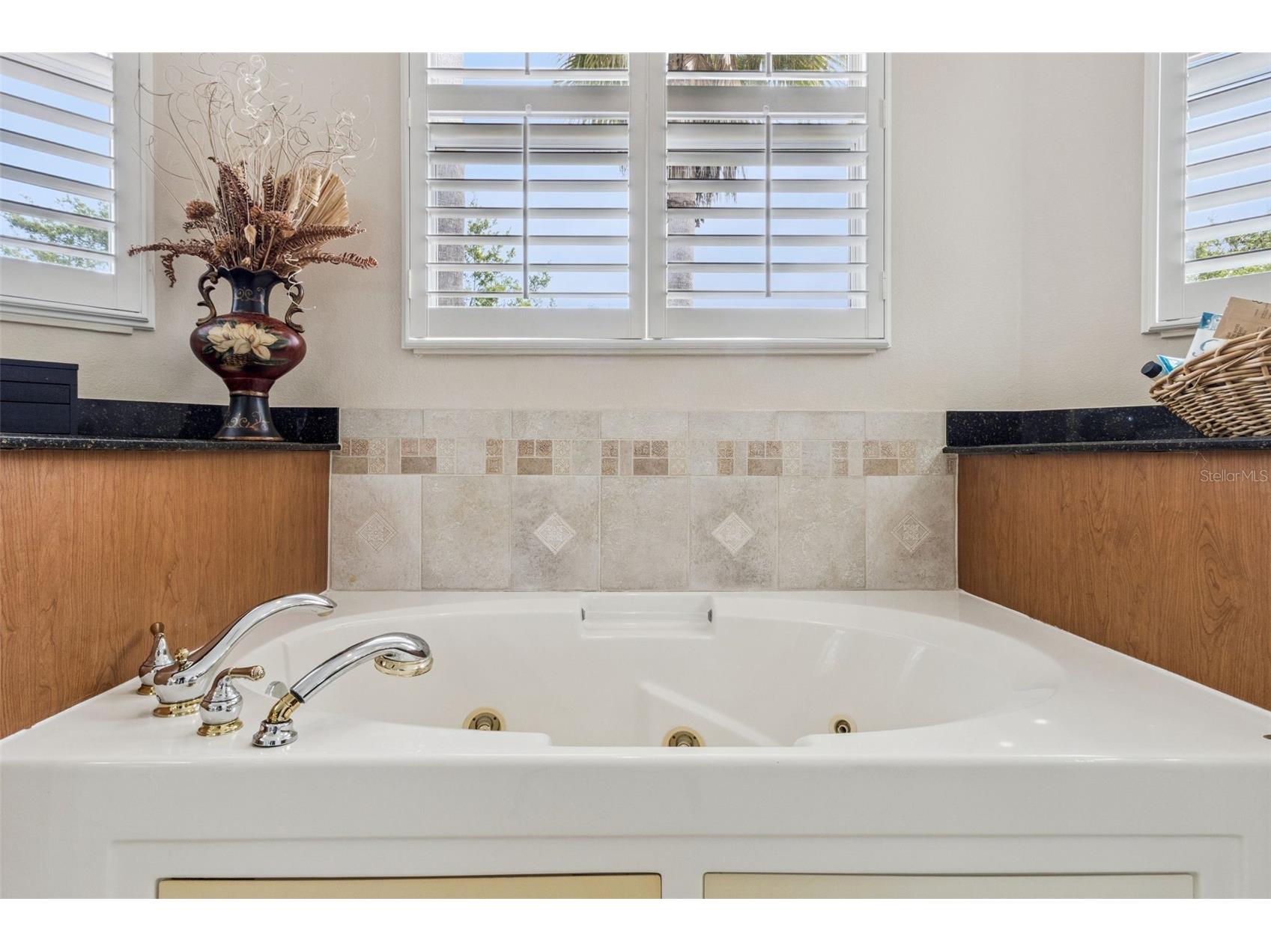 545 Genoa Drive Kissimmee FL 34759 O6395202 image25