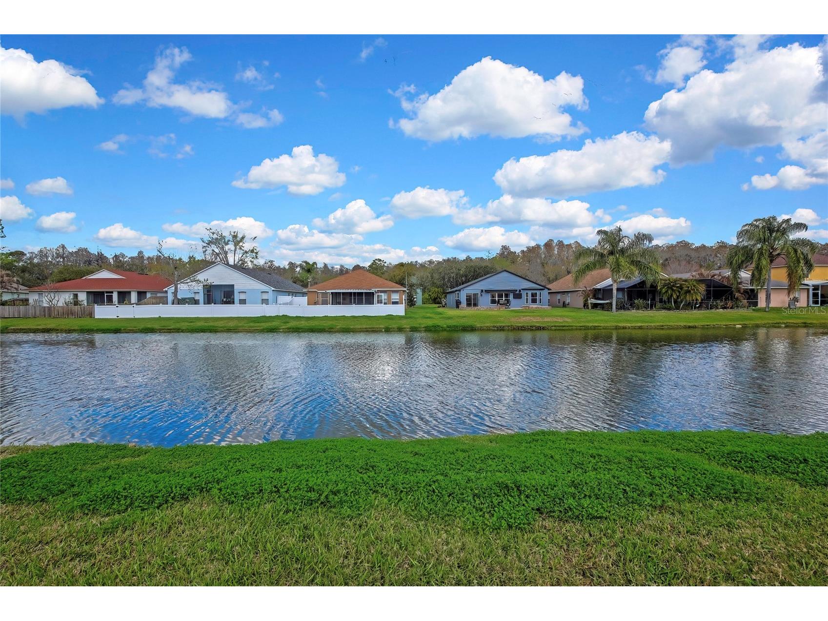 545 Lake Cypress Circle Oldsmar FL 34677 TB8482985 image5