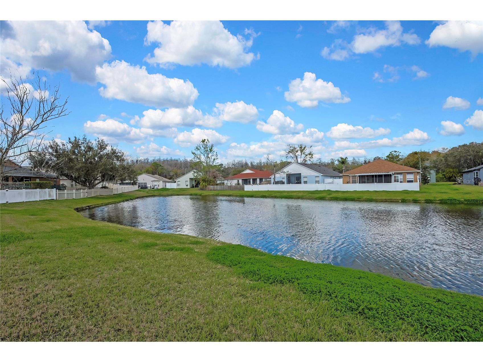 545 Lake Cypress Circle Oldsmar FL 34677 TB8482985 image9