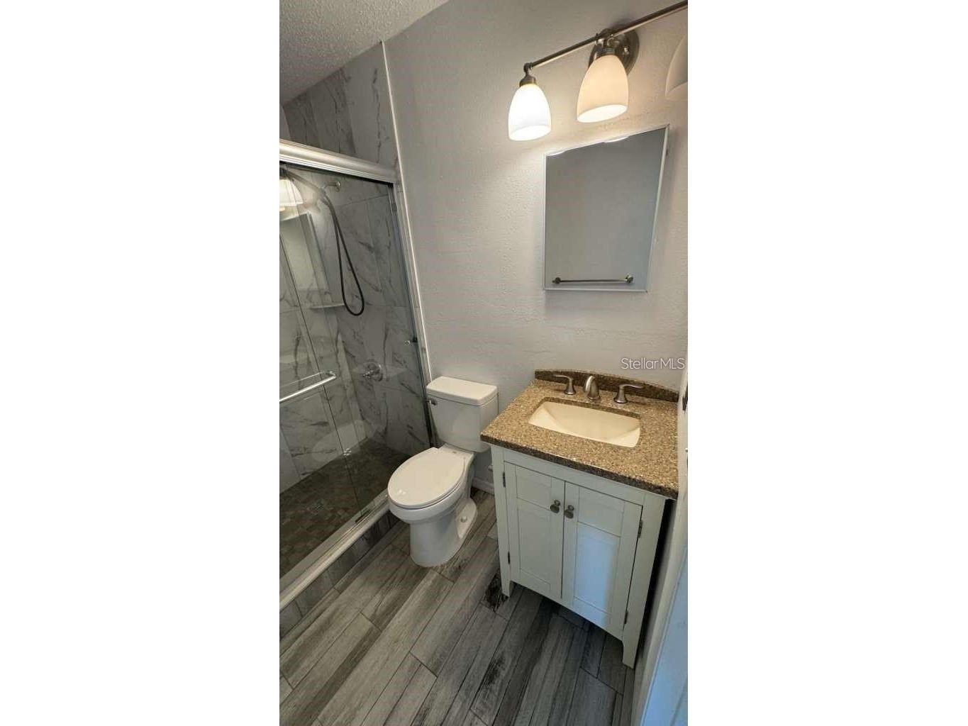 545 Oak Drive Tavares FL 32778 O6376169 image13