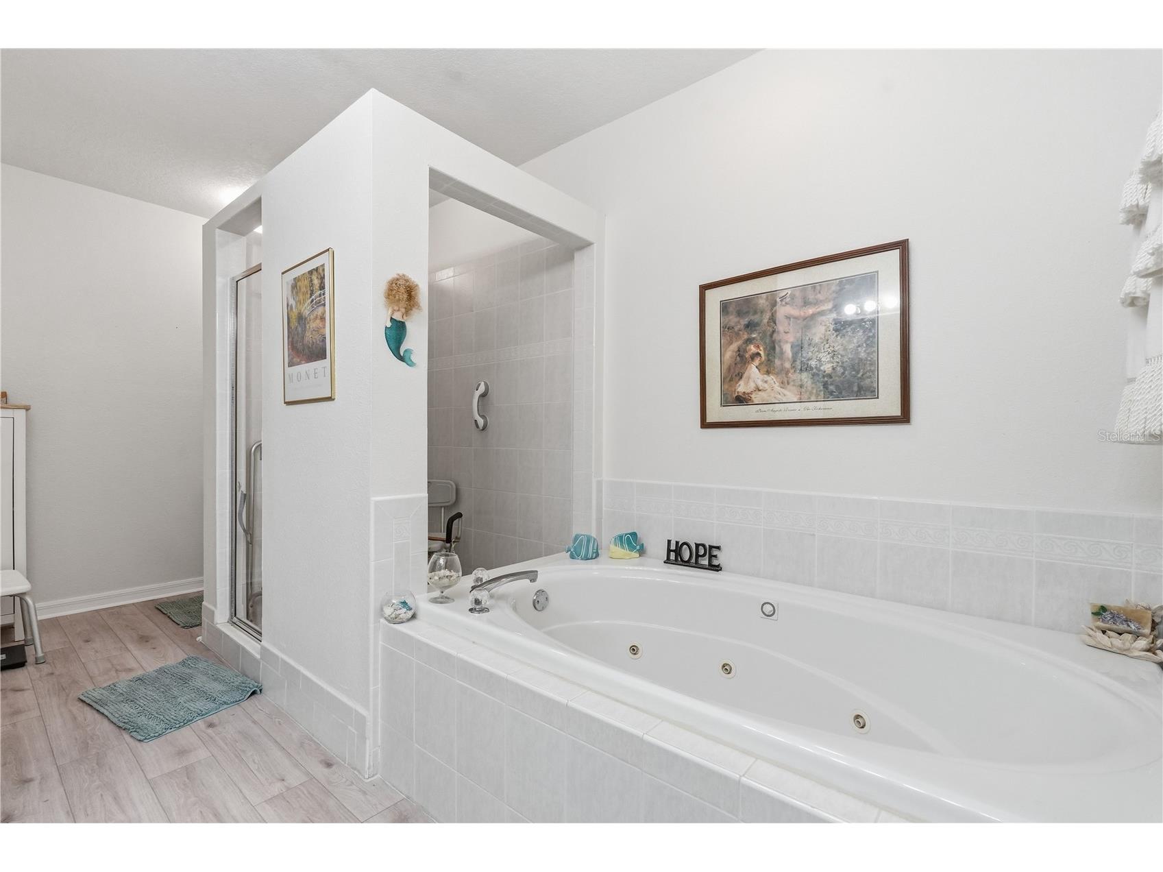545 Pinellas Bayway S #302 Saint Petersburg FL 33715 - TAMPA BAY TB8506496 image39