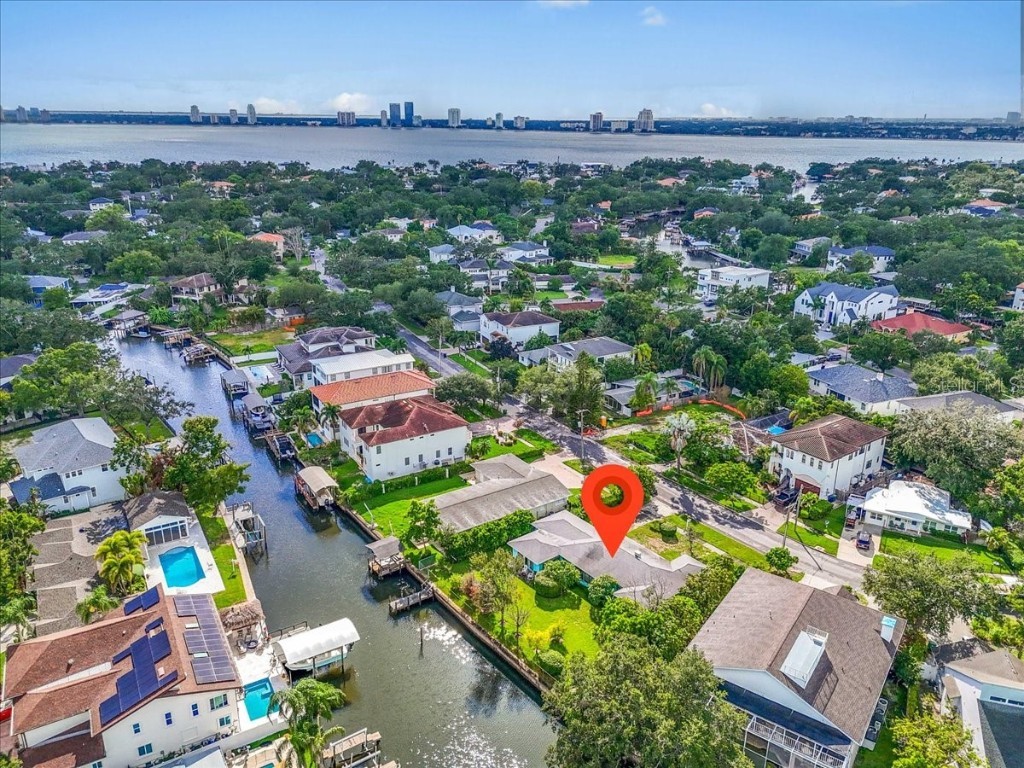 545 Suwanee Circle Tampa FL 33606 A4658849 image4