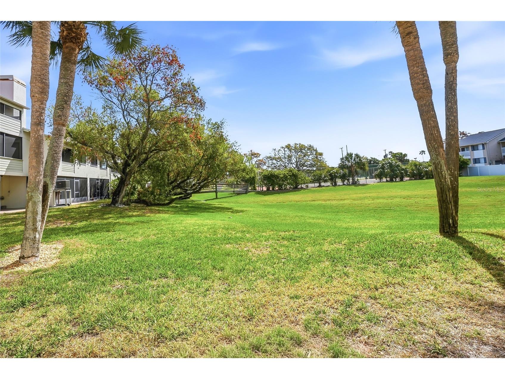 545 Walden Court Dunedin FL 34698 N6143241 image33