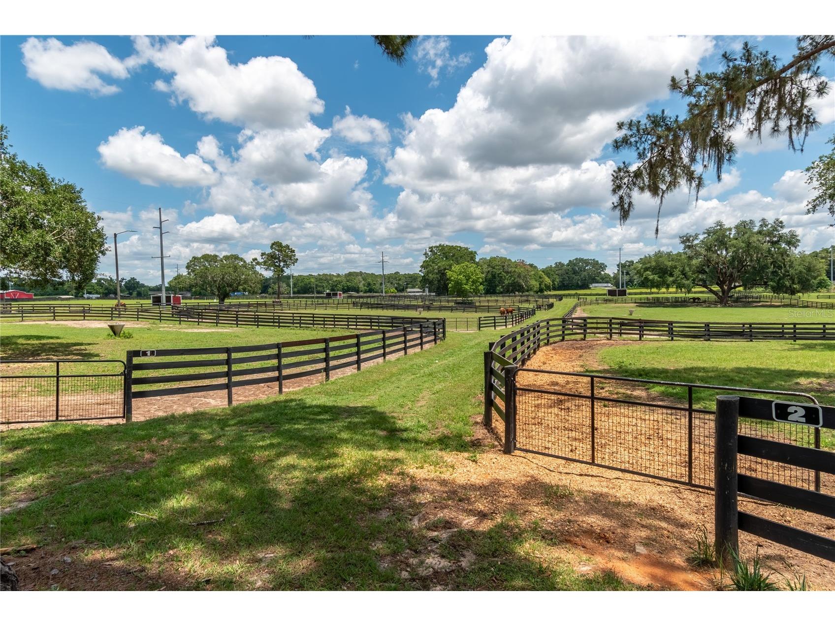 5450 NW 100th Street Ocala FL 34482 OM725238 image63