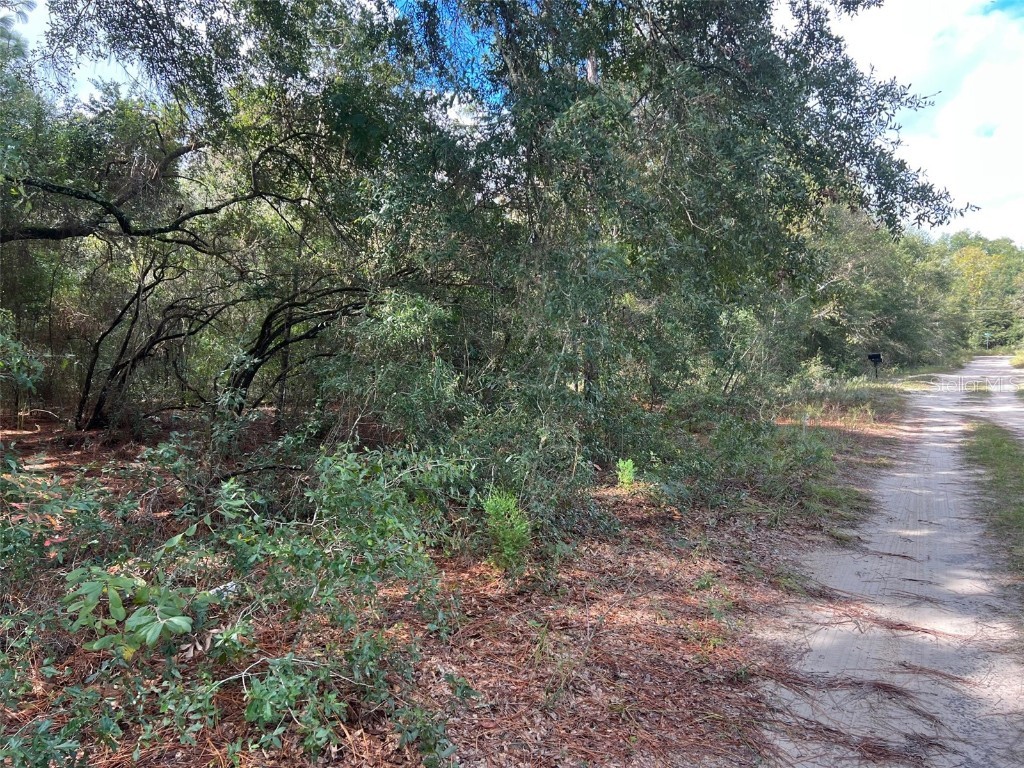 5450 NW 12th Place Ocala FL 34482 OM666392 image1