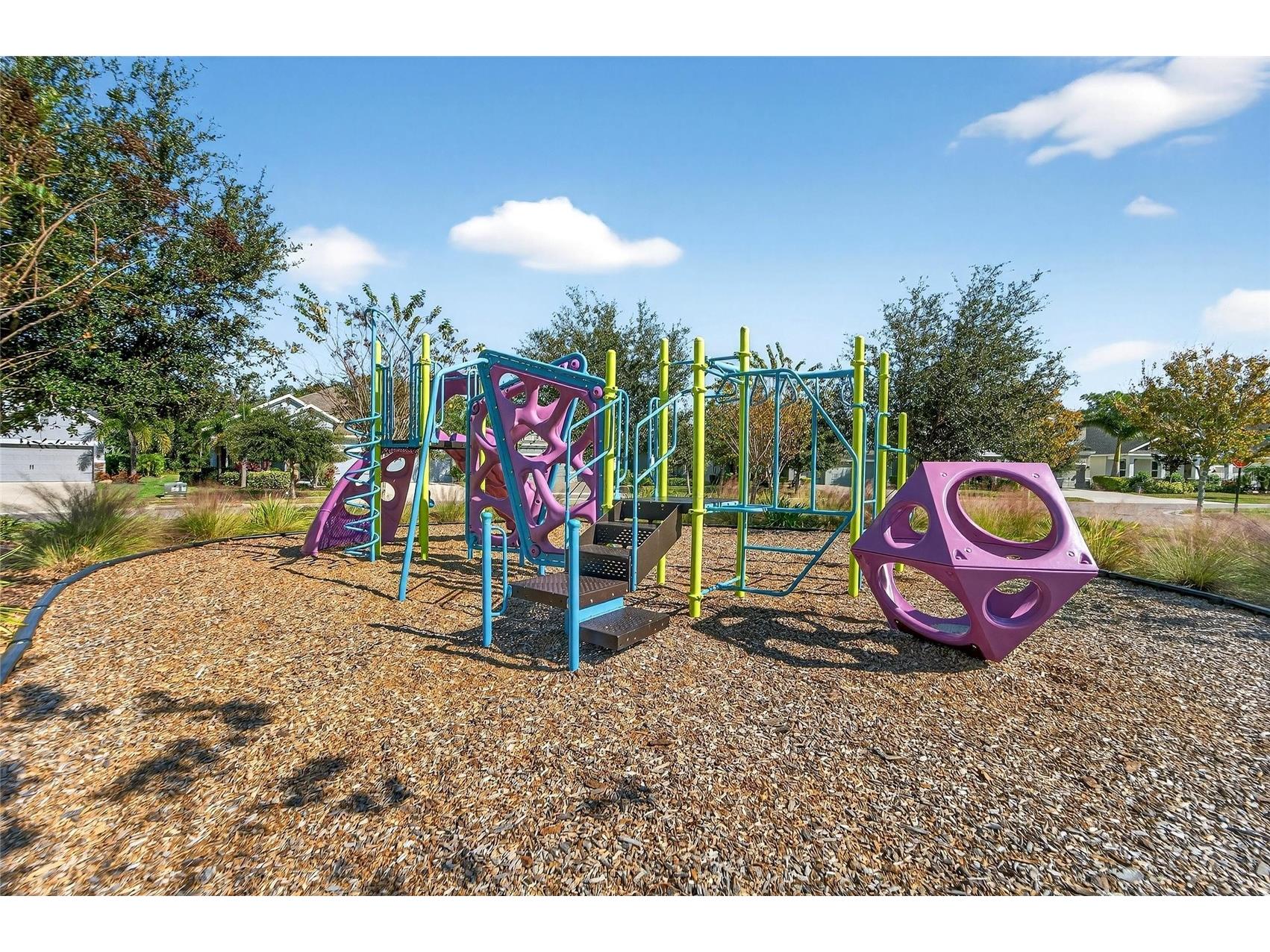 5451 Del Coronado Drive Apollo Beach FL 33572 TB8494577 image51