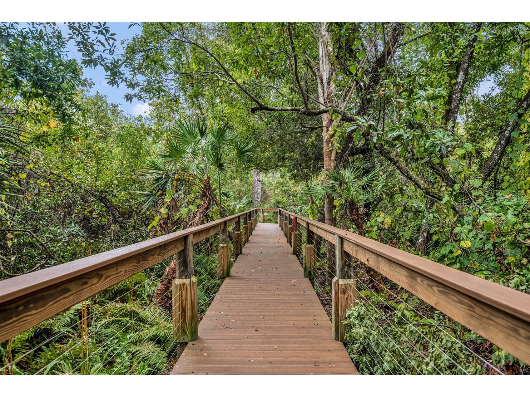 5451 Endicott Place Oviedo FL 32765 - DEEP LAKE & LITTLE LAKE GA O6418098 image5