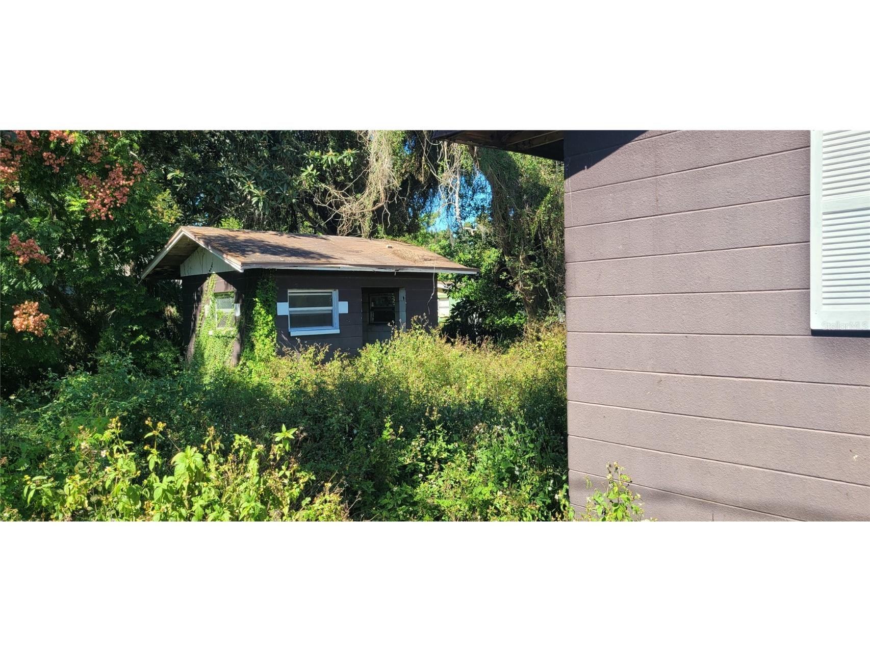 5451 Lily Road Lakeland FL 33811 U8223916 image4