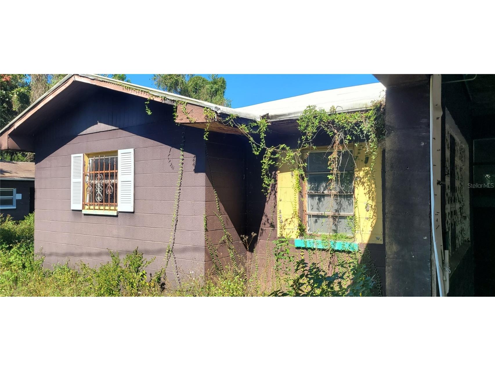 5451 Lily Road Lakeland FL 33811 U8223916 image5