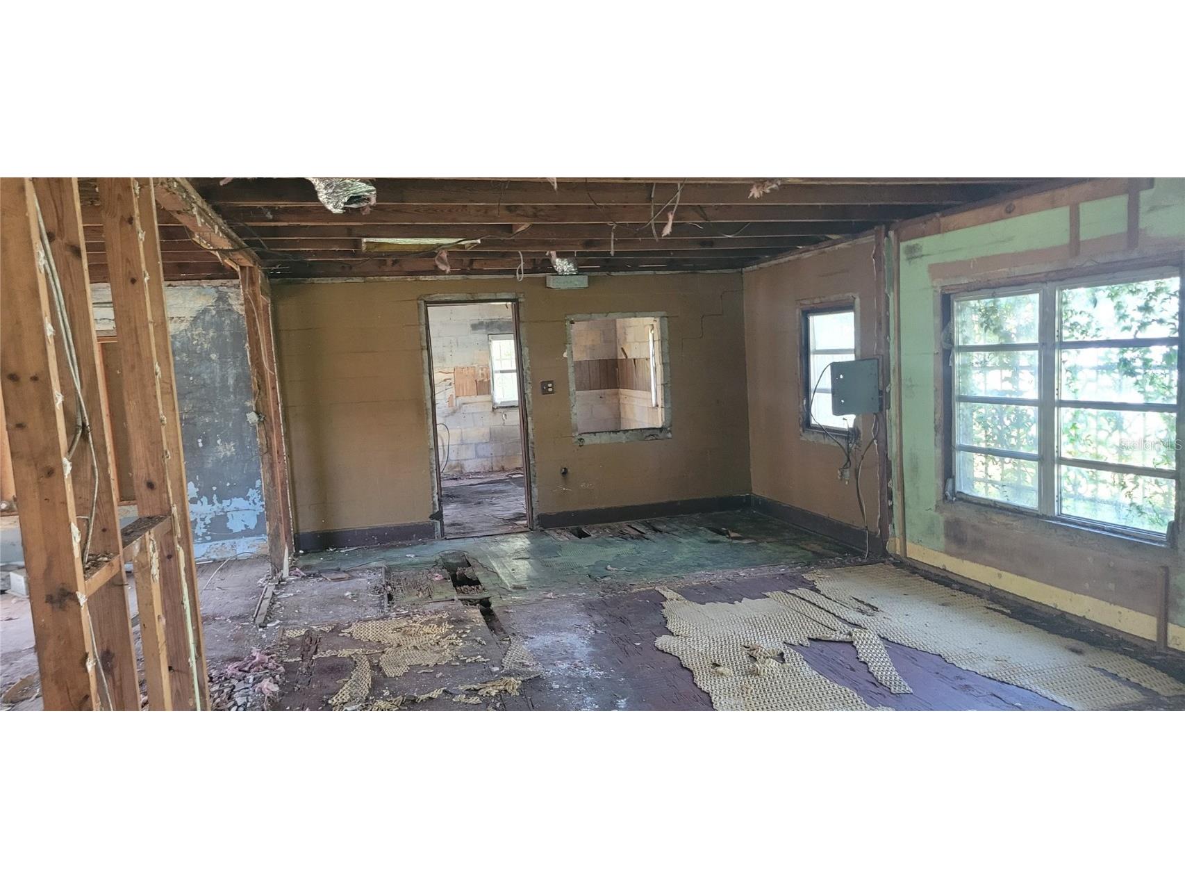 5451 Lily Road Lakeland FL 33811 U8223916 image7